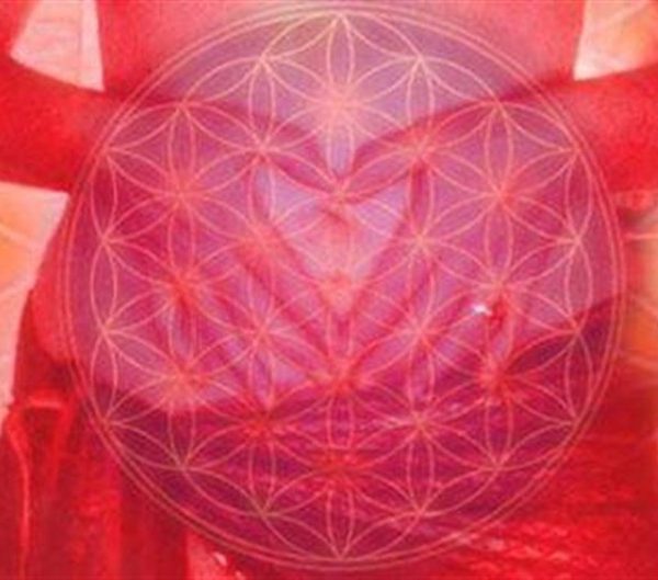 Womb Care: Healing and wholeness to your REPRODUCTIVE system, cramp release, miscarriages, emptiness, fertility