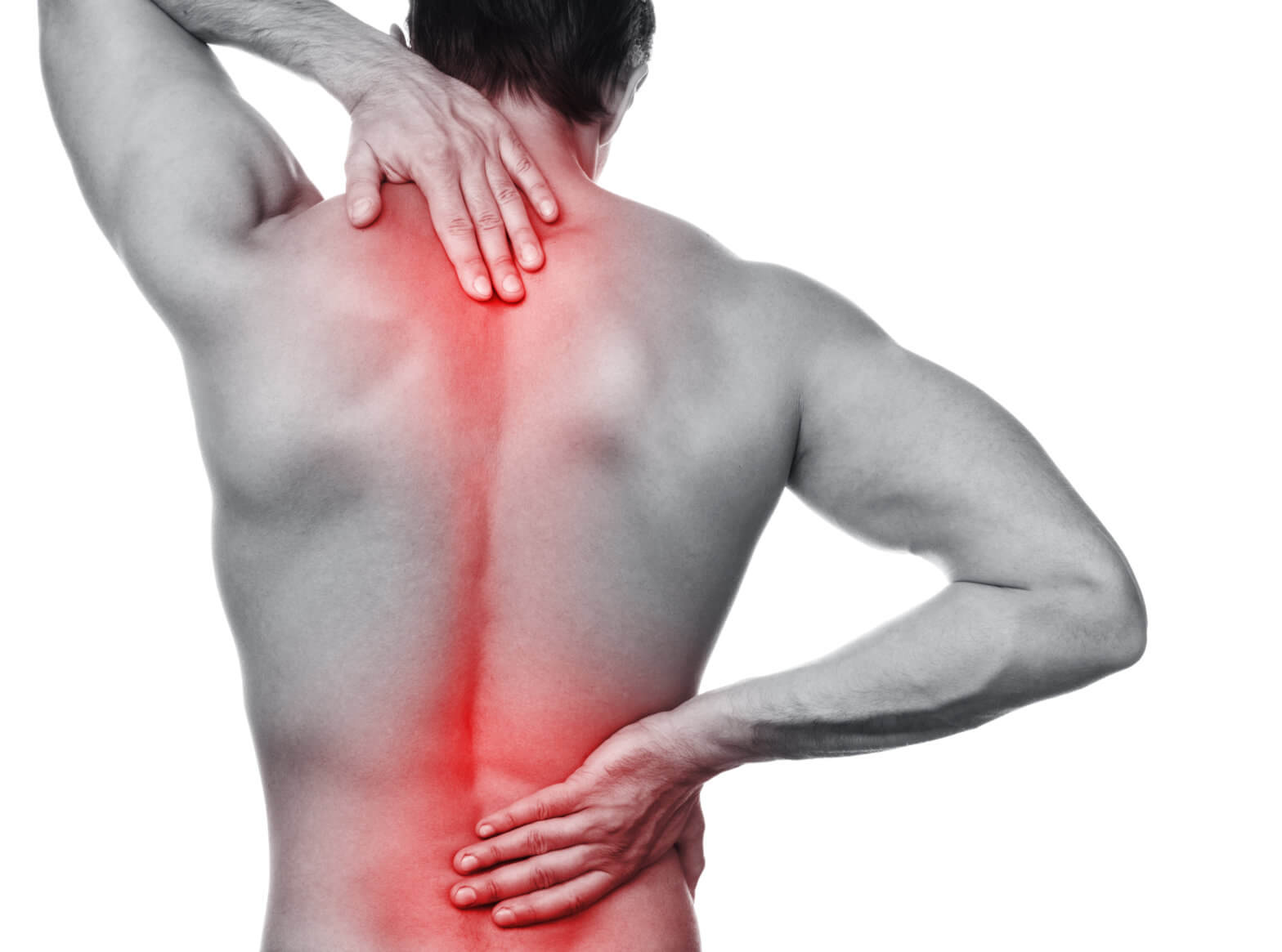 AdobeStock_119379430-1568x1165 Back Care: For back pain, back healing, assists medical treatment to be more effective - Image 1