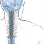 Craniosacral Care: For chronic pain, migraines, back and neck