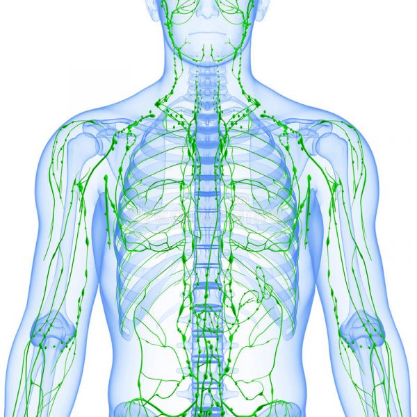 Flow Care: Increase flow of lymph cleansing and strengthening capillary and vessel walls