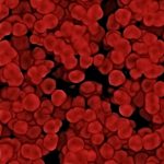 Sacred Blood Elixir: Raw Cosmic Power, Catalyst for Transformation, Release hidden power and potential, attract desires
